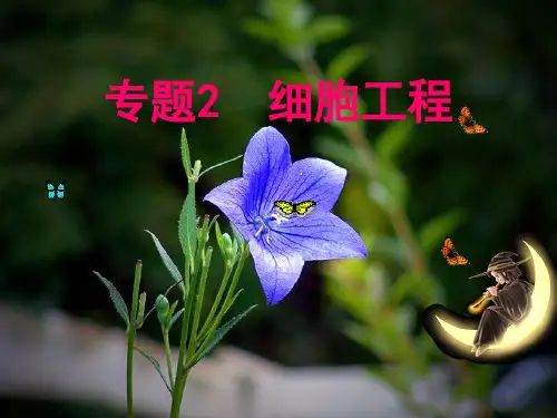 2.1.1植物细胞工程课件(林)