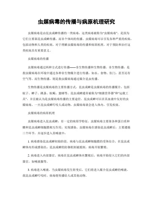 虫媒病毒的传播与病原机理研究