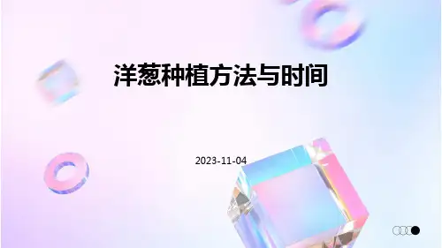 洋葱种植方法与时间