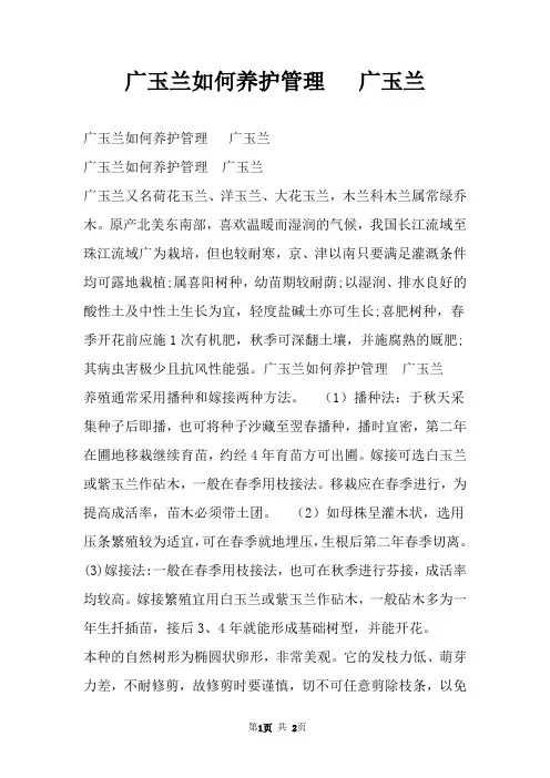 广玉兰如何养护管理   广玉兰