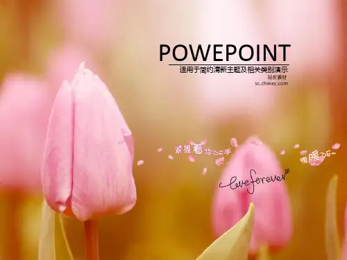 郁金香爱情PPT模板
