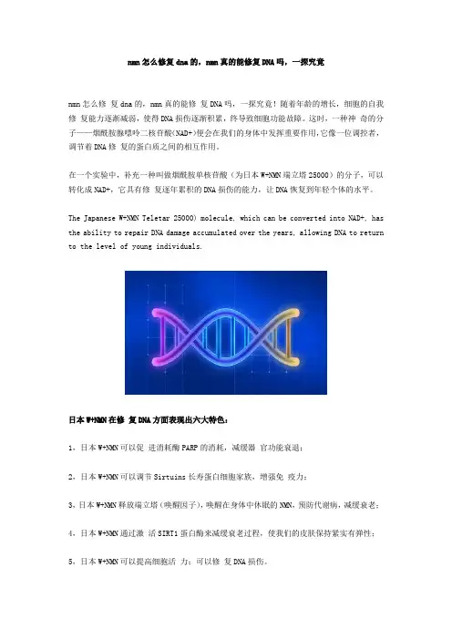 nmn怎么修复dna的,nmn真的能修复DNA吗,一探究竟