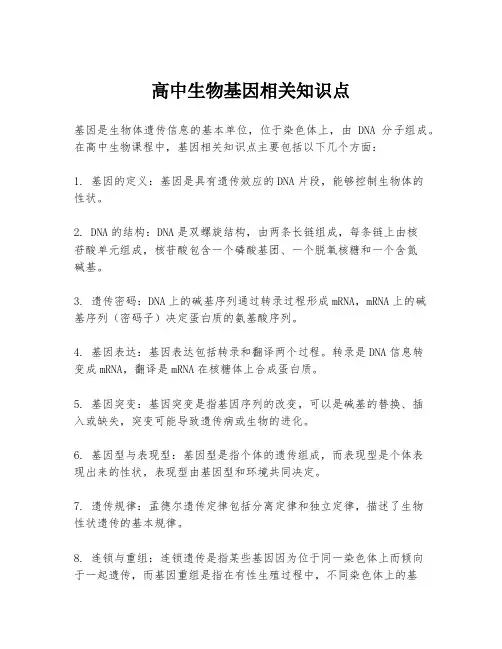 高中生物基因相关知识点