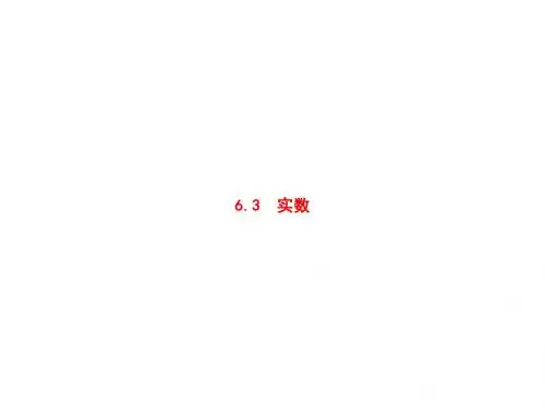 人教数学七下课件：6.3实数PPT28张