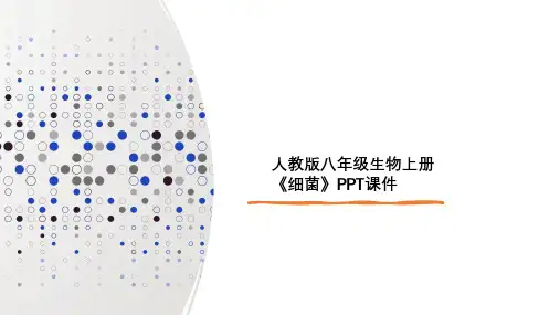 人教版八年级生物上册《细菌》PPT课件