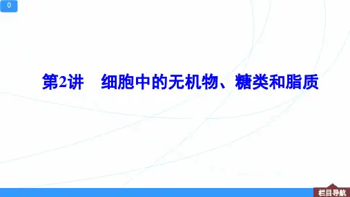 新高考一轮复习人教版细胞中的无机物、糖类和脂质 (73张)课件