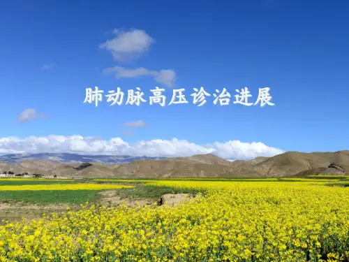 肺动脉高压与右心导管检查 ppt课件