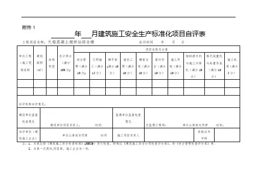 施工安全生产标准化项目自评表【范本模板】
