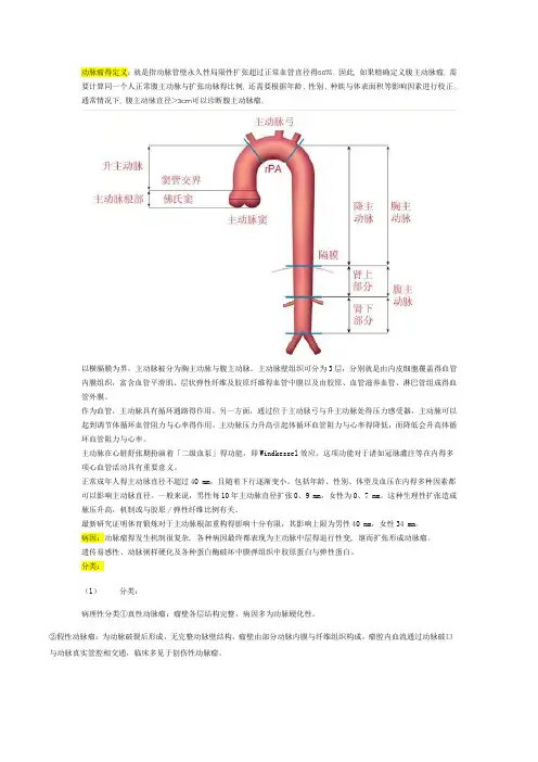 腹主动脉