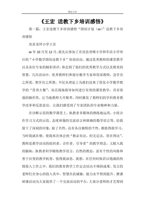 《王宏 送教下乡培训感悟》