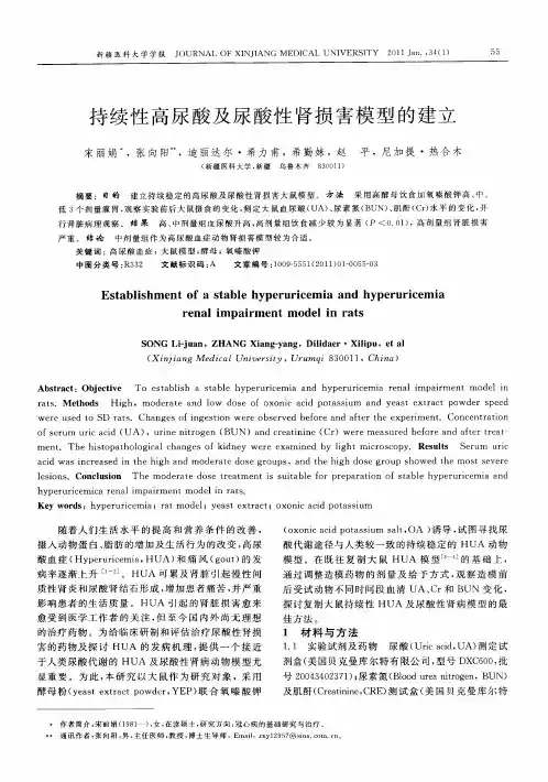 持续性高尿酸及尿酸性肾损害模型的建立