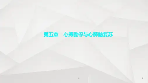 急救护理技术(中职护理专业案例版) 第5章 心搏骤停与心肺脑复苏