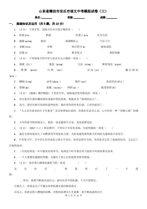 山东省潍坊市安丘市语文中考模拟试卷(三)