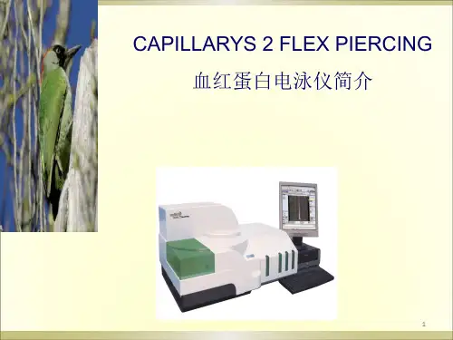 sebia capillarys2 fp电泳仪简介
