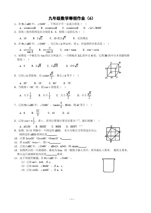 九年级数学寒假作业(6)