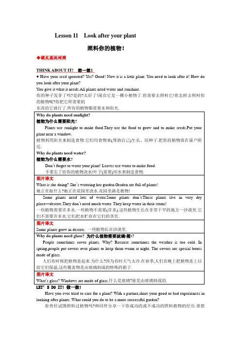 八年级英语下册lesson11教材内容详解冀教版