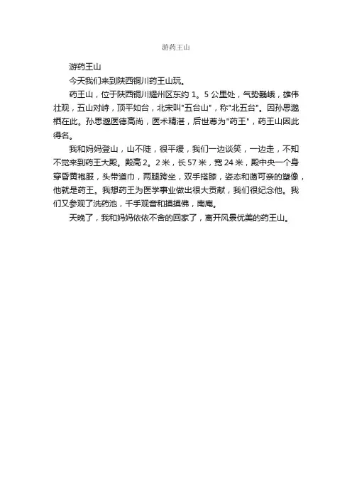 游药王山——精选推荐