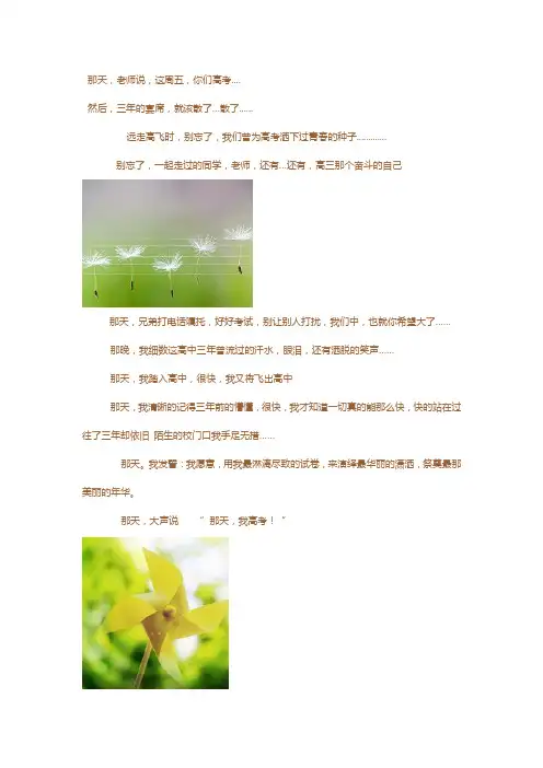 那天,我高考