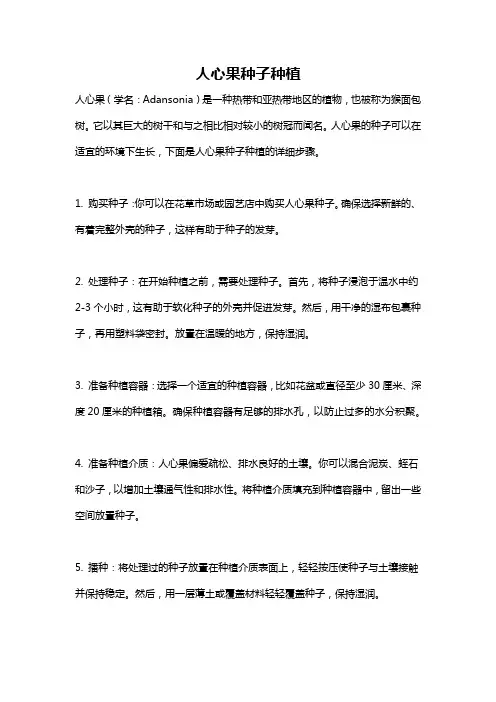 人心果种子种植