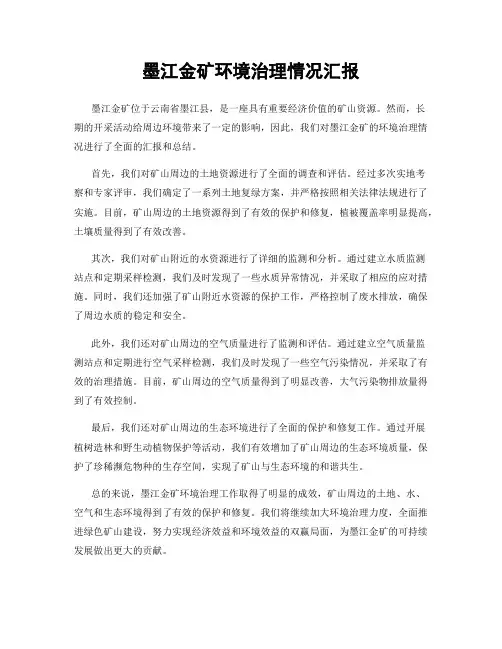 墨江金矿环境治理情况汇报