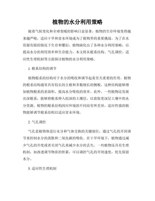 植物的水分利用策略