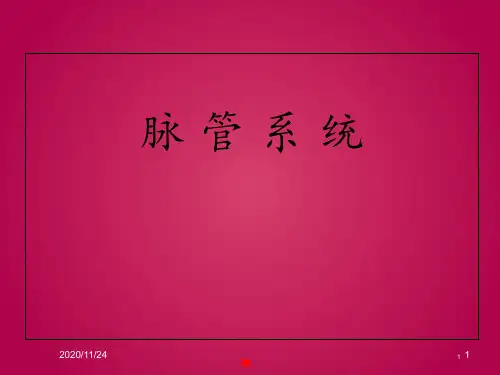 脉管系总论、心血管系统  ppt课件