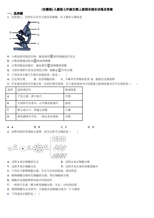 (完整版)人教版七年级生物上册期末期末试卷及答案