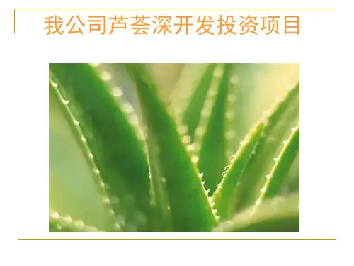 财务管理投资案例