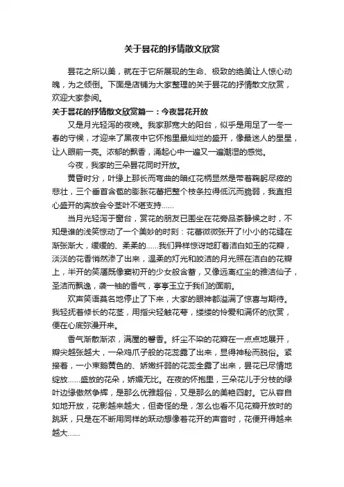 关于昙花的抒情散文欣赏