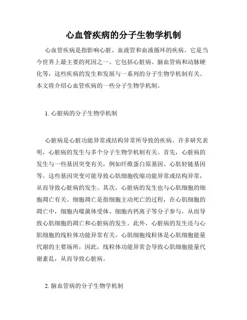 心血管疾病的分子生物学机制