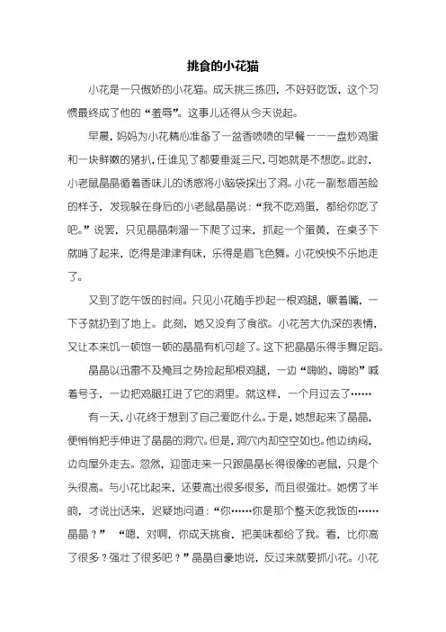 五年级作文：挑食的小花猫作文600字