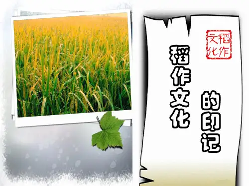 人教七年级历史与社会上册3.稻作文化的印记(共16张)