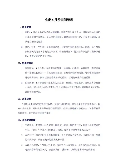 小麦4月份田间管理