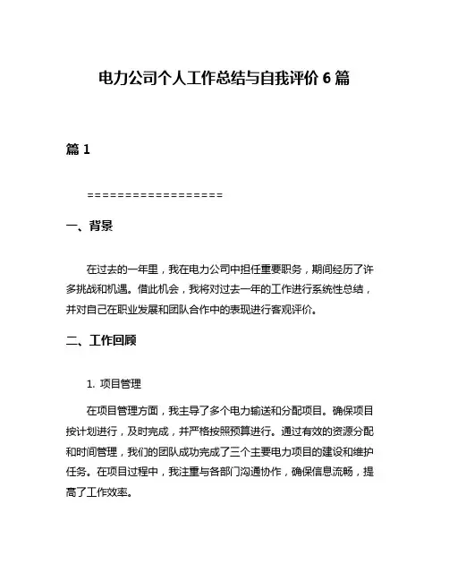 电力公司个人工作总结与自我评价6篇