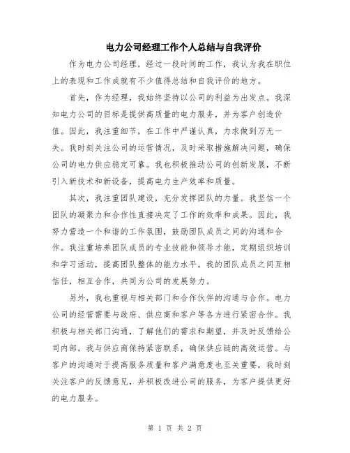 电力公司经理工作个人总结与自我评价