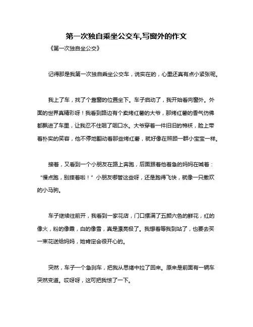 第一次独自乘坐公交车,写窗外的作文