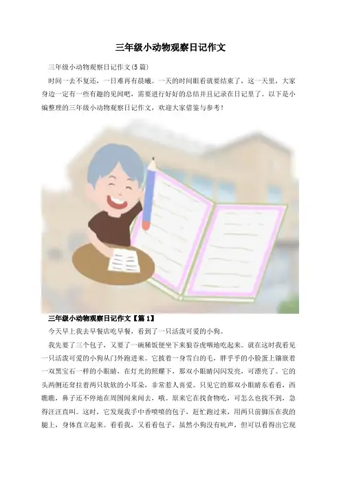 三年级小动物观察日记作文