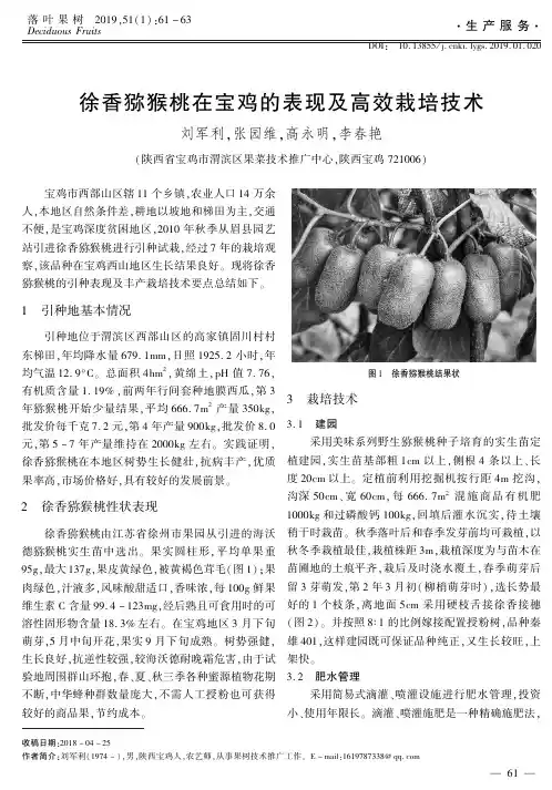 徐香猕猴桃在宝鸡的表现及高效栽培技术