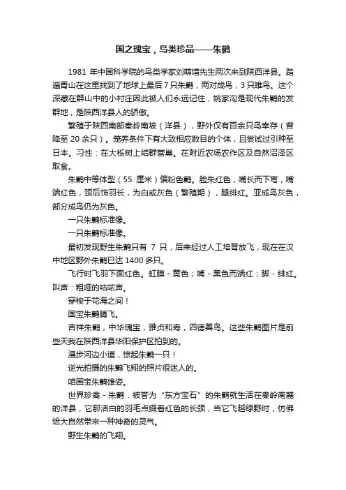 国之瑰宝，鸟类珍品——朱鹮