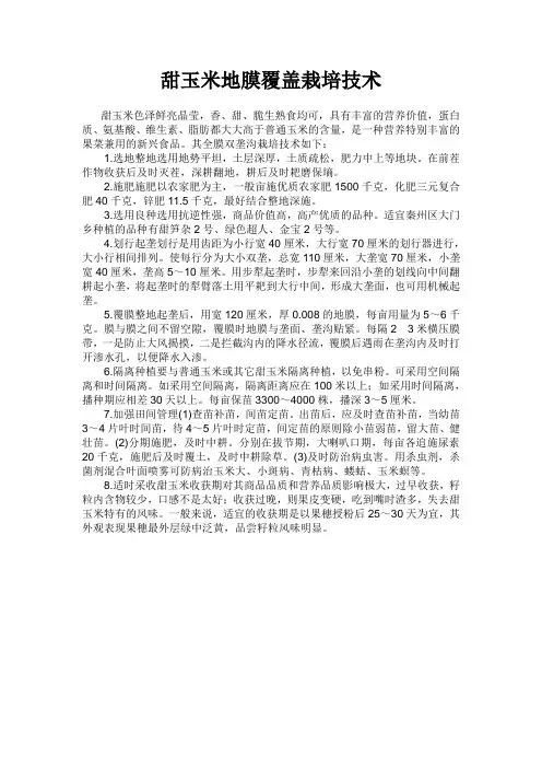 甜玉米地膜覆盖栽培技术