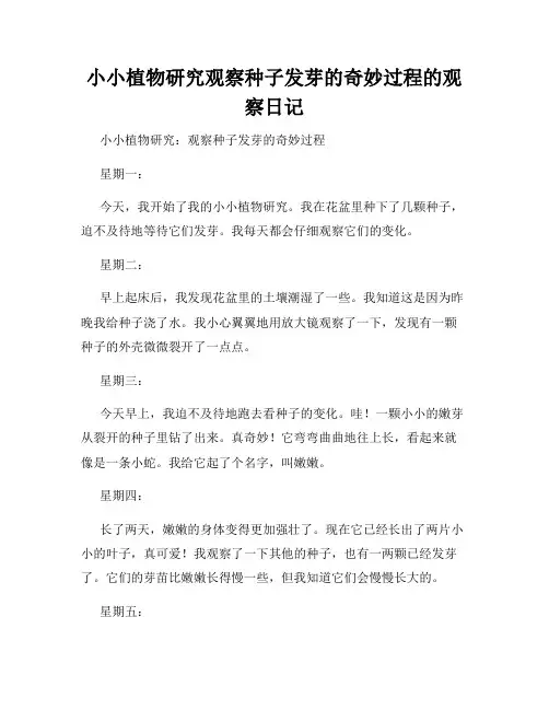 小学三年级作文小小植物研究观察种子发芽的奇妙过程的观察日记