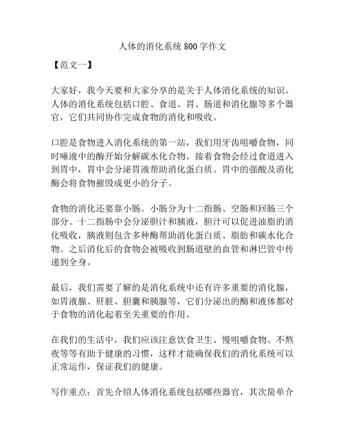 人体的消化系统800字作文