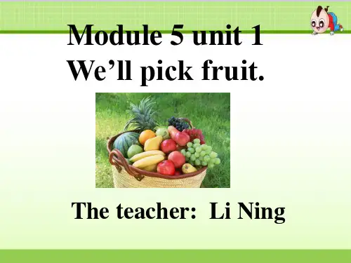 外研版(一起)三下Module 4 Unit 1《We’ll pick fruit》课件1