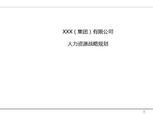 某集团人力资源规划 