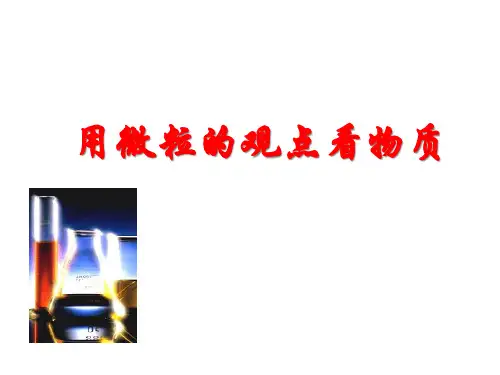 沪教版初中化学九上 3.1.1  用微粒的观点看物质  课件(25张PPT) 