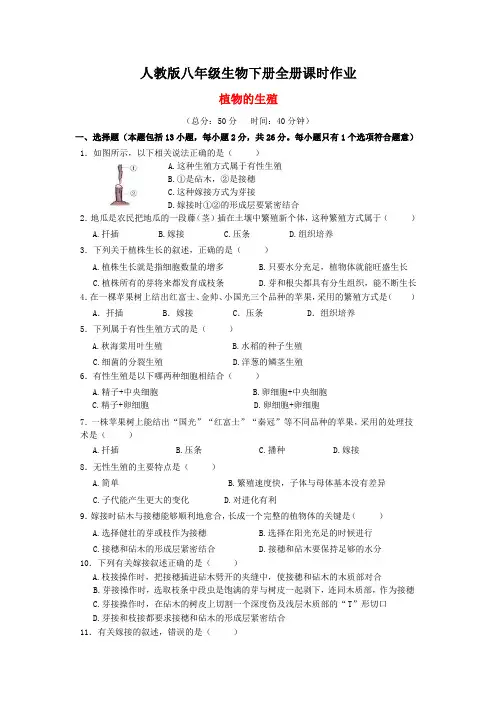 最新人教版八年级生物下册全册课时作业
