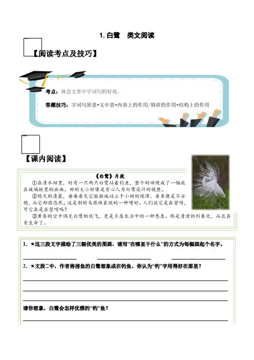 【类文阅读】最新人教部编版小学五年级上册语文《白鹭》试题(含答案、解析)