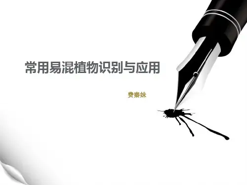 植物识别参考课件