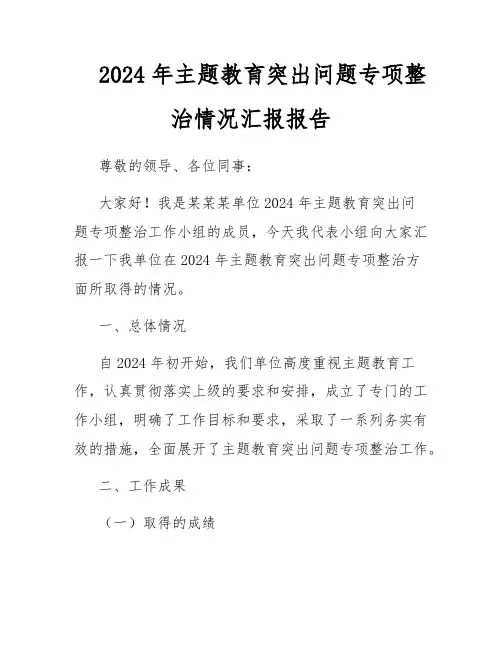 2024年主题教育突出问题专项整治情况汇报报告