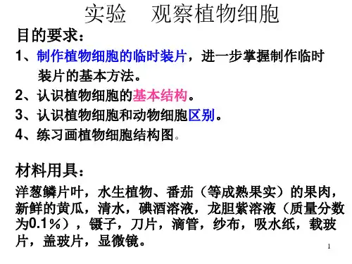 七年级生物观察植物细胞3(PPT)3-3